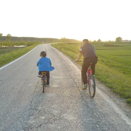 La Casa Delle Rondini Roncoferraro